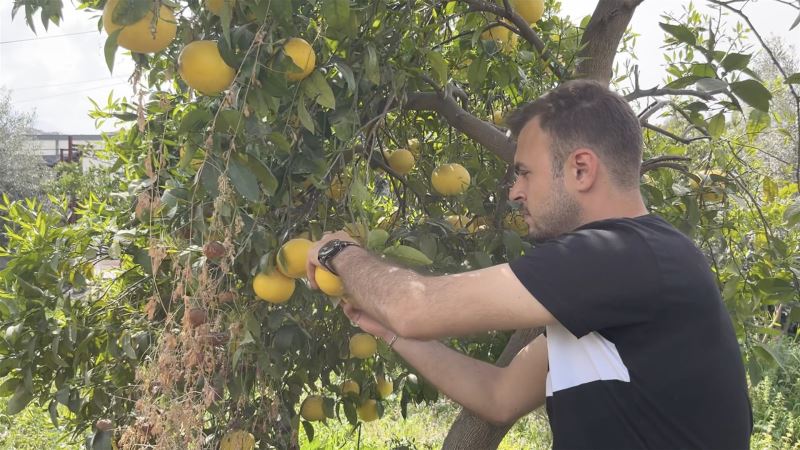 HATAY’DAKİ ÜRETİCİLERE DESTEK!