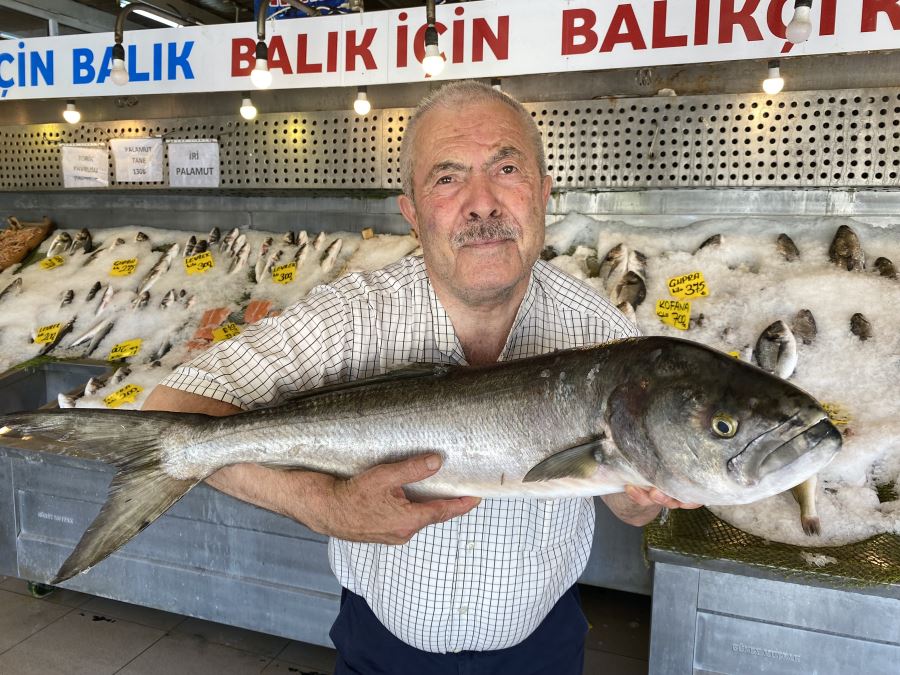 BALIK YAZIN DA YENİR KIŞINDA