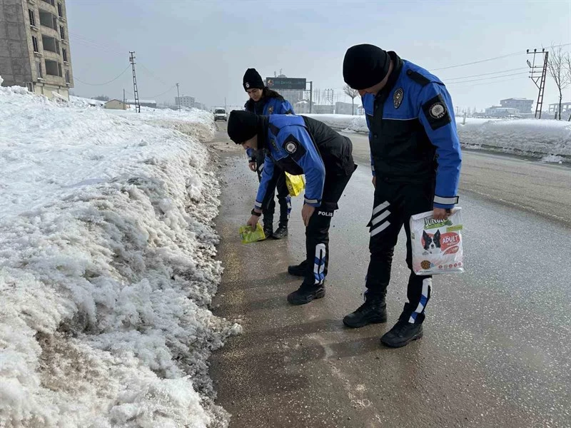 Yüksekova Polisi Hayvanlar İçin Doğaya Yem Bıraktı