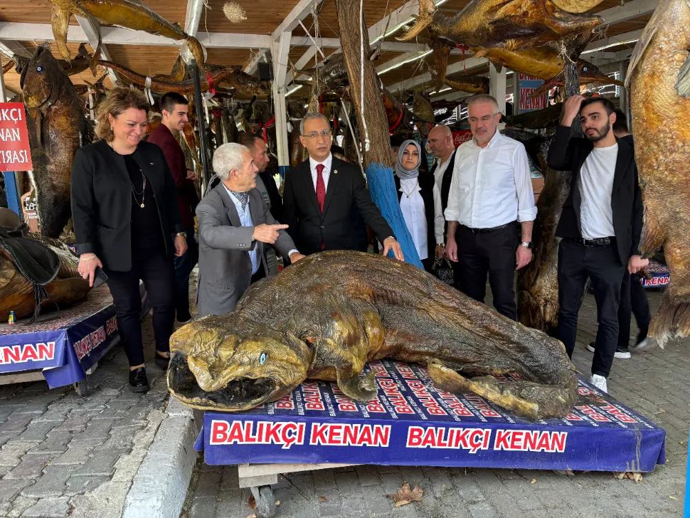 Milletvekili Dusak, Mumya Balıklarıyla Türkiye