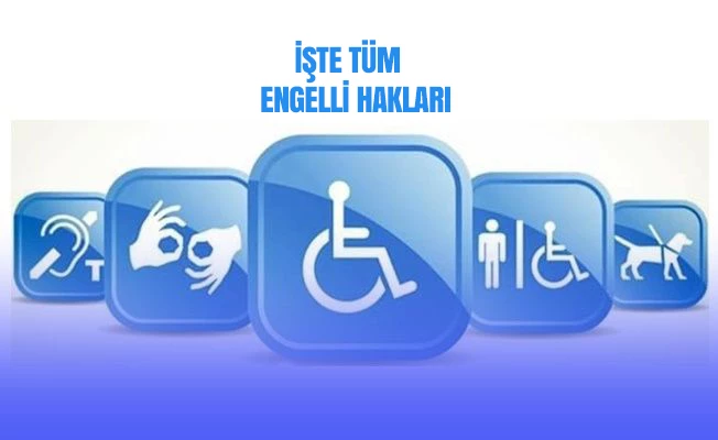 Engelli bireylerin eğitim, sağlık, istihdam ve sosyal yardımlar gibi hakları hakkında bilgi veren bir görsel.