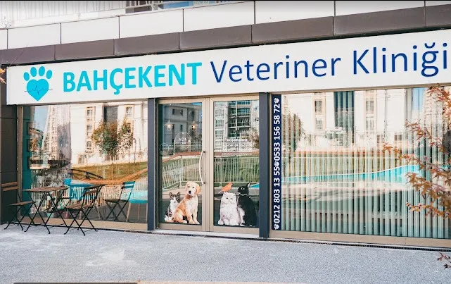 Bahçekent Veteriner Kliniği: Güvenli ve Samimi Hizmetle Evcil Hayvan Sağlığı