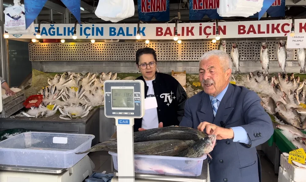 Karadeniz somonu ve Karadeniz alası bolluğu 16 gündür devam ediyor