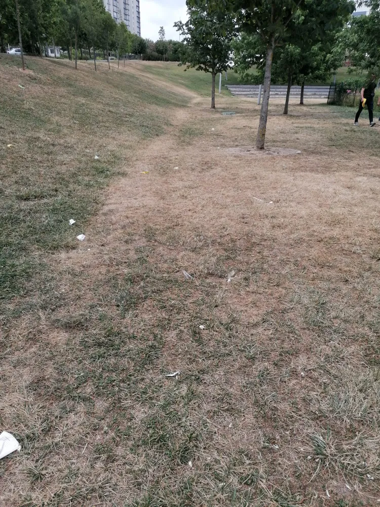 Hayat Park Kuruyor: Bahçekent’te Parklar Susuzluktan Ölüyor