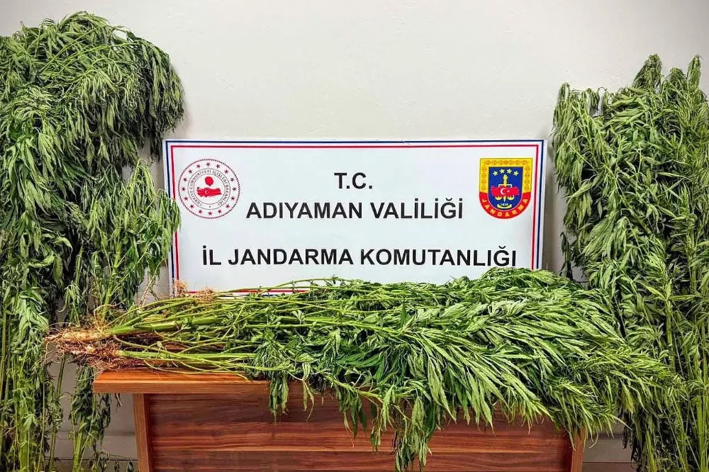 Jandarmadan Uyuşturucu Operasyonu: 9 Kişi Yakalandı