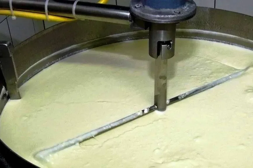 Ocak'ta süt üretimi arttı, yoğurtta yüzde 13,8 artış