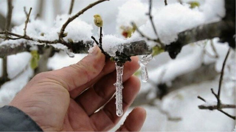 Meteorolojiden 4 il için zirai don uyarisi